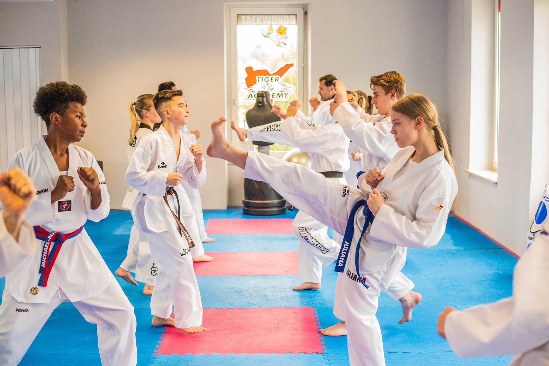 Tiger-Academy-Taekwondo-MMA-Pirmasens-Sportschule_Kampf_Kinder_Sport_Jugendliche