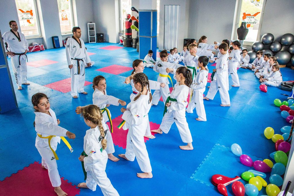 Tiger-Academy-Taekwondo-MMA-Pirmasens-Sportschule_Kampf